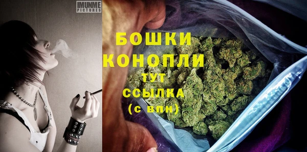 стафф Аркадак
