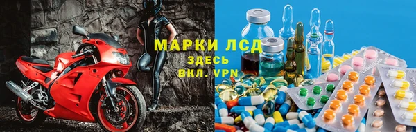 стафф Аркадак