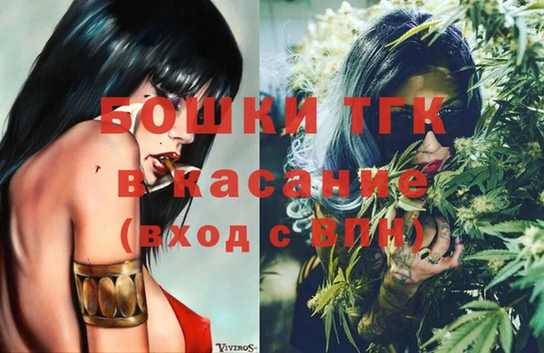 стафф Аркадак