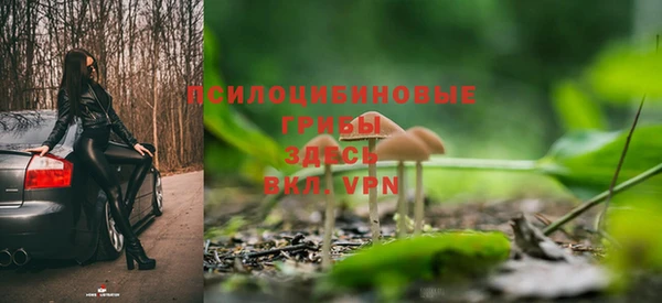стафф Аркадак